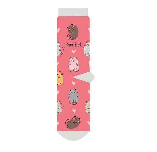 Pawfect socks
