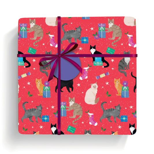 Happy catmas wrap and tags