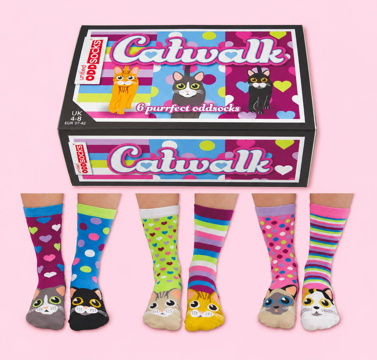 Cat themed accessories