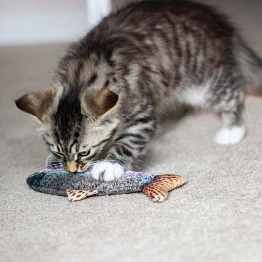 Catnip trout