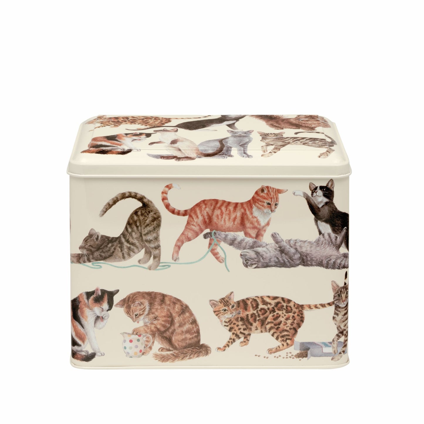 Emma Bridgewater cats caddy tin