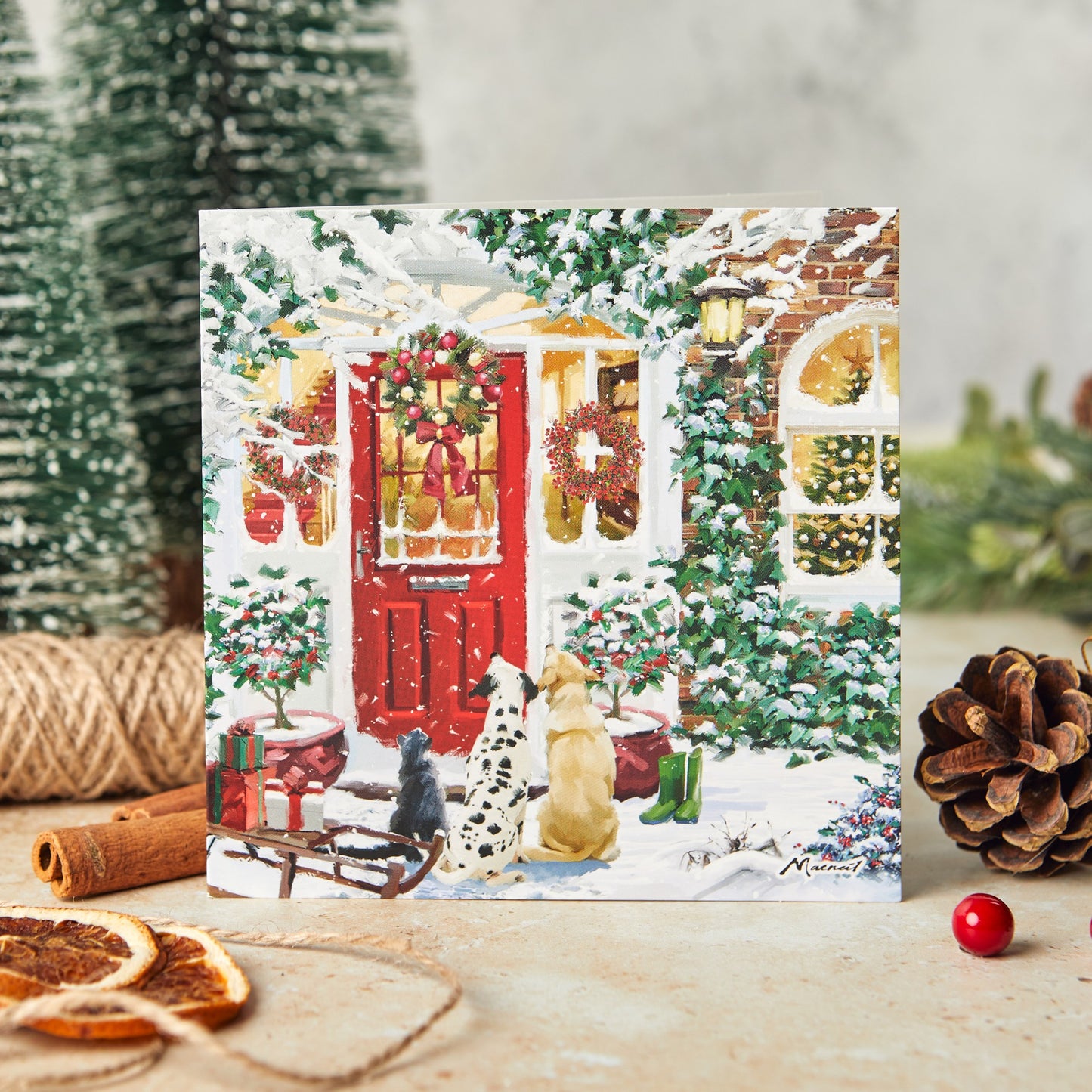 Christmas visitors 10 Christmas cards