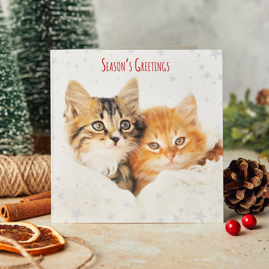 Season's greetings 10 Christmas cards