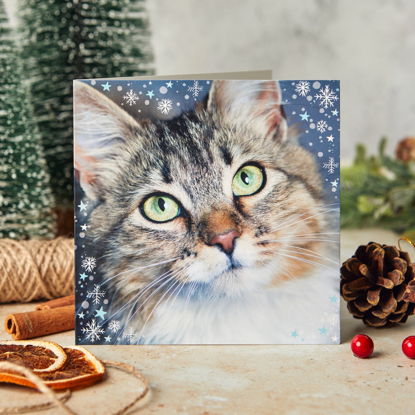 Green eyes 10 Christmas cards