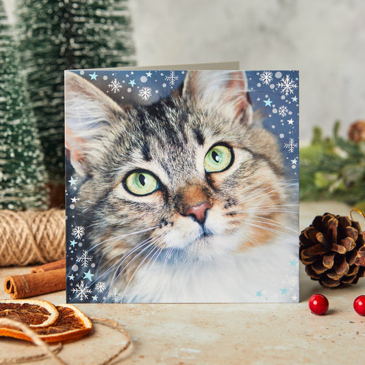Green eyes 10 Christmas cards
