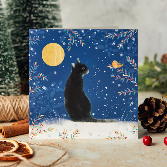 Kitty and the Robin 10 Christmas cards