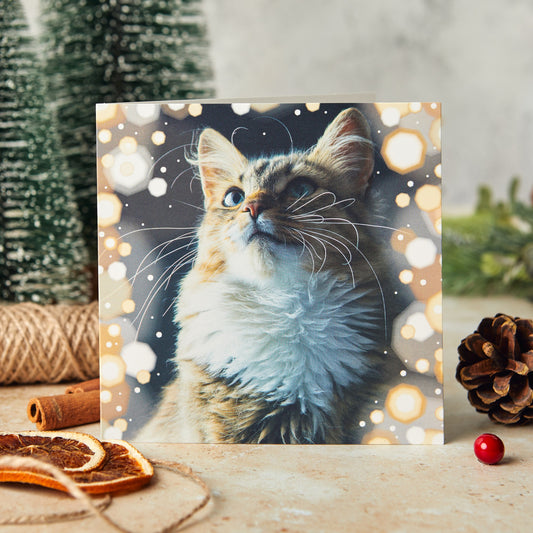 Festive sparkles 10 Christmas cards