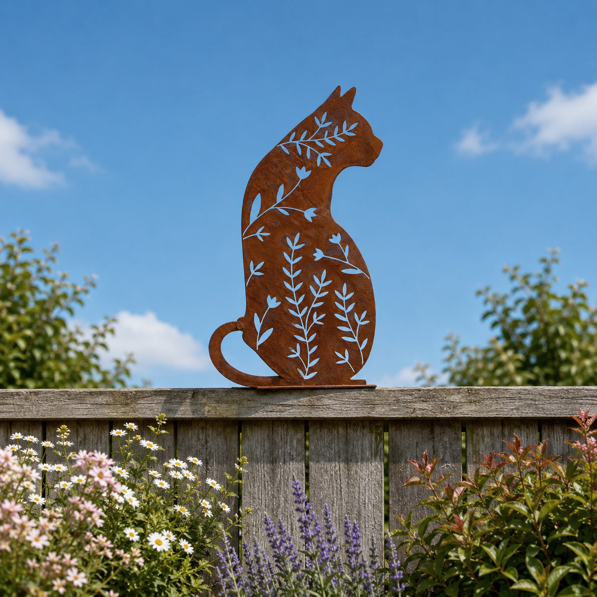 Collections – Cats Protection Shop