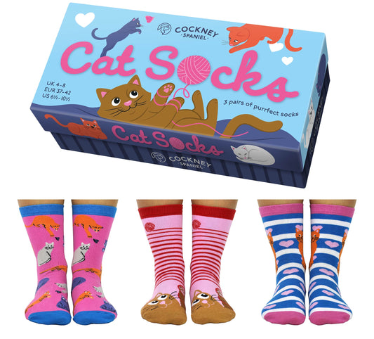 Cats socks box