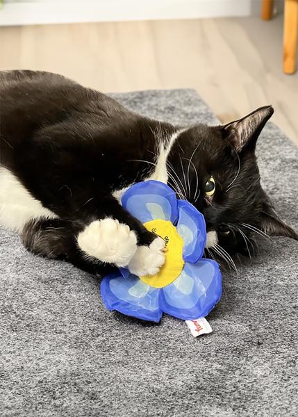 Blue flower catnip cat toy