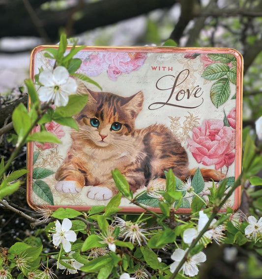 With love kitten biscuit tin
