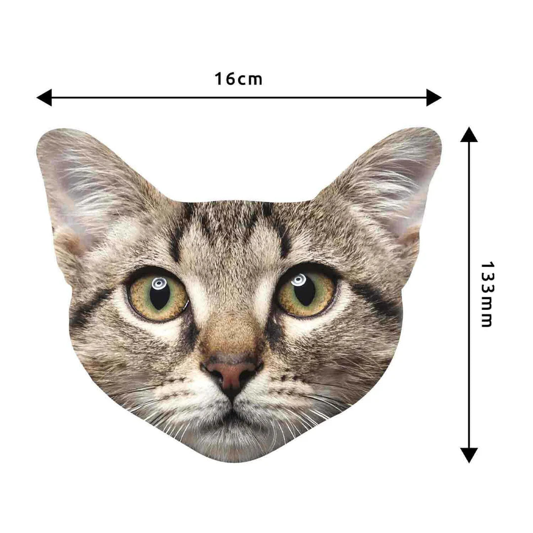 Cat lens cleaning cloth