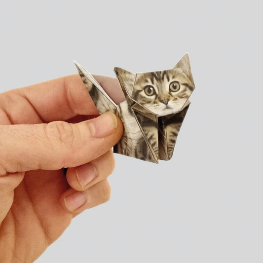 Paper cats