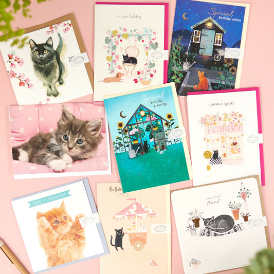 Cat bumper greeting card pack