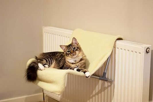 Radiator cat bed