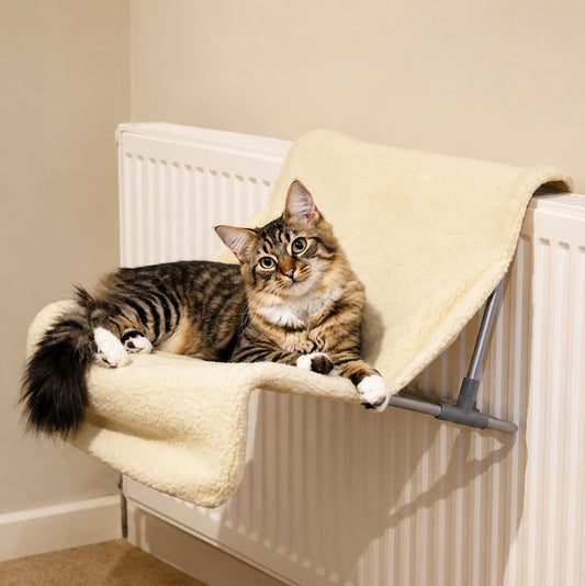 Radiator cat bed