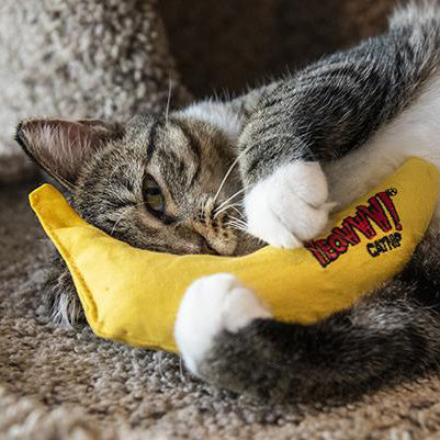 Banana yeowww cat toy