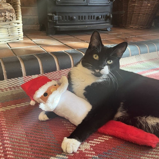 Scott santa kicker cat toy