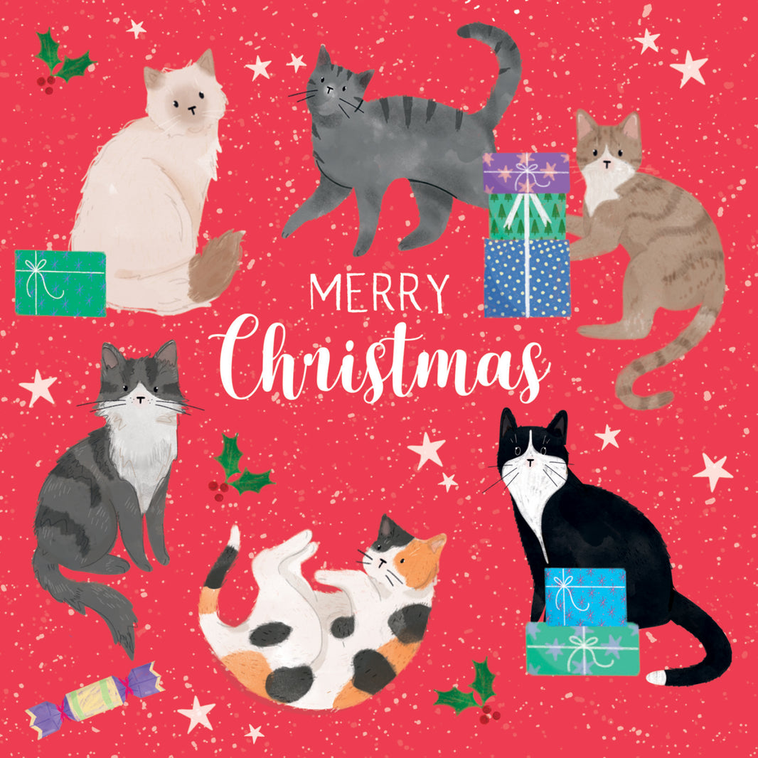 Christmas – Cats Protection Shop