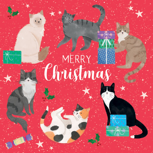 Cats galore 10 cards