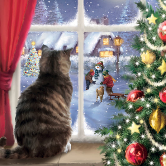 Window watch 10 cards