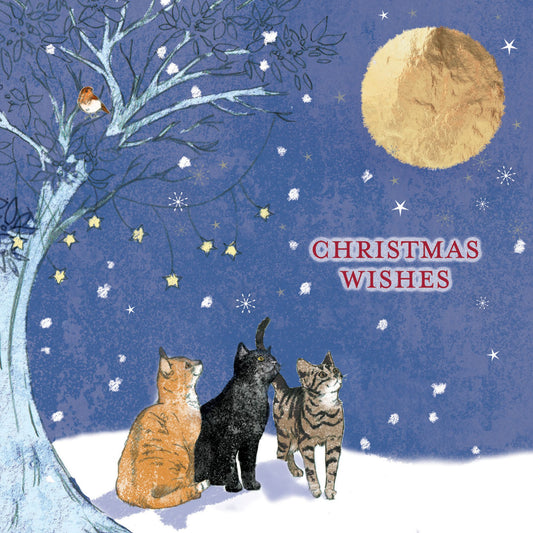 Moonlight cats 10 cards