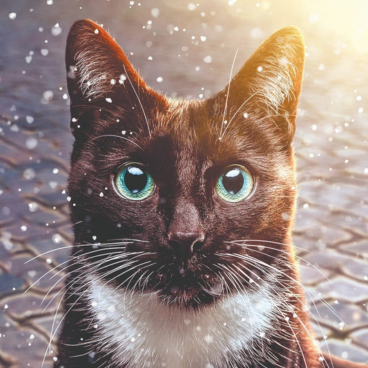 Big blue eyes 10 cards