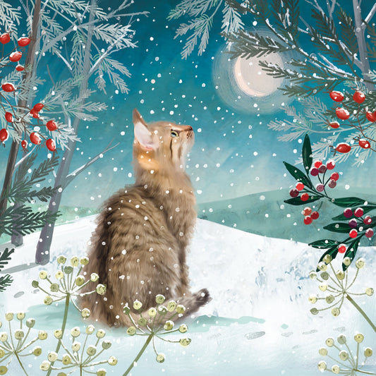 Cat in the moonlight 10 cards