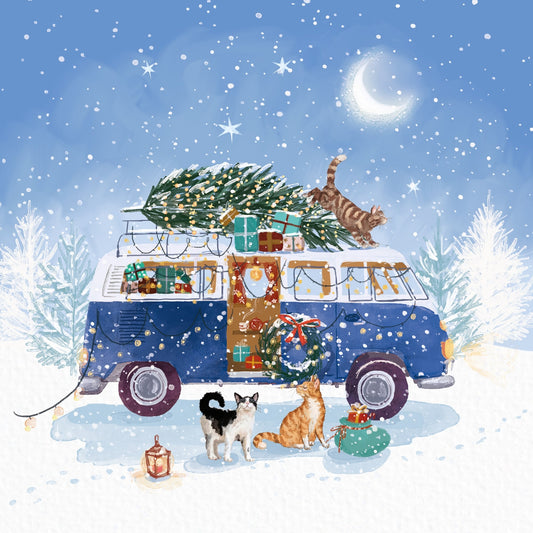 Festive blue camper 10 cards