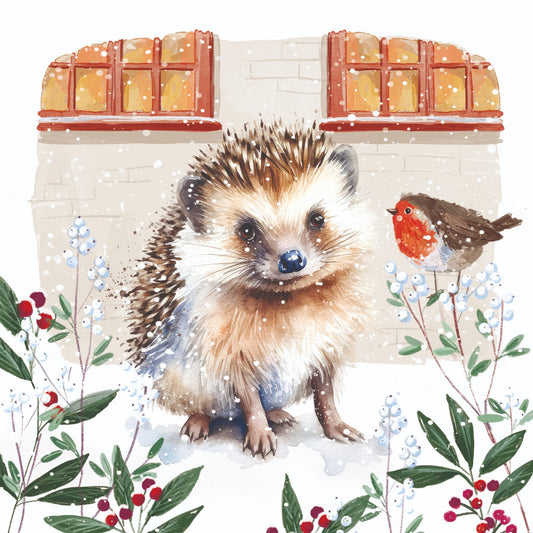 Hedgehog and robin 10 cards