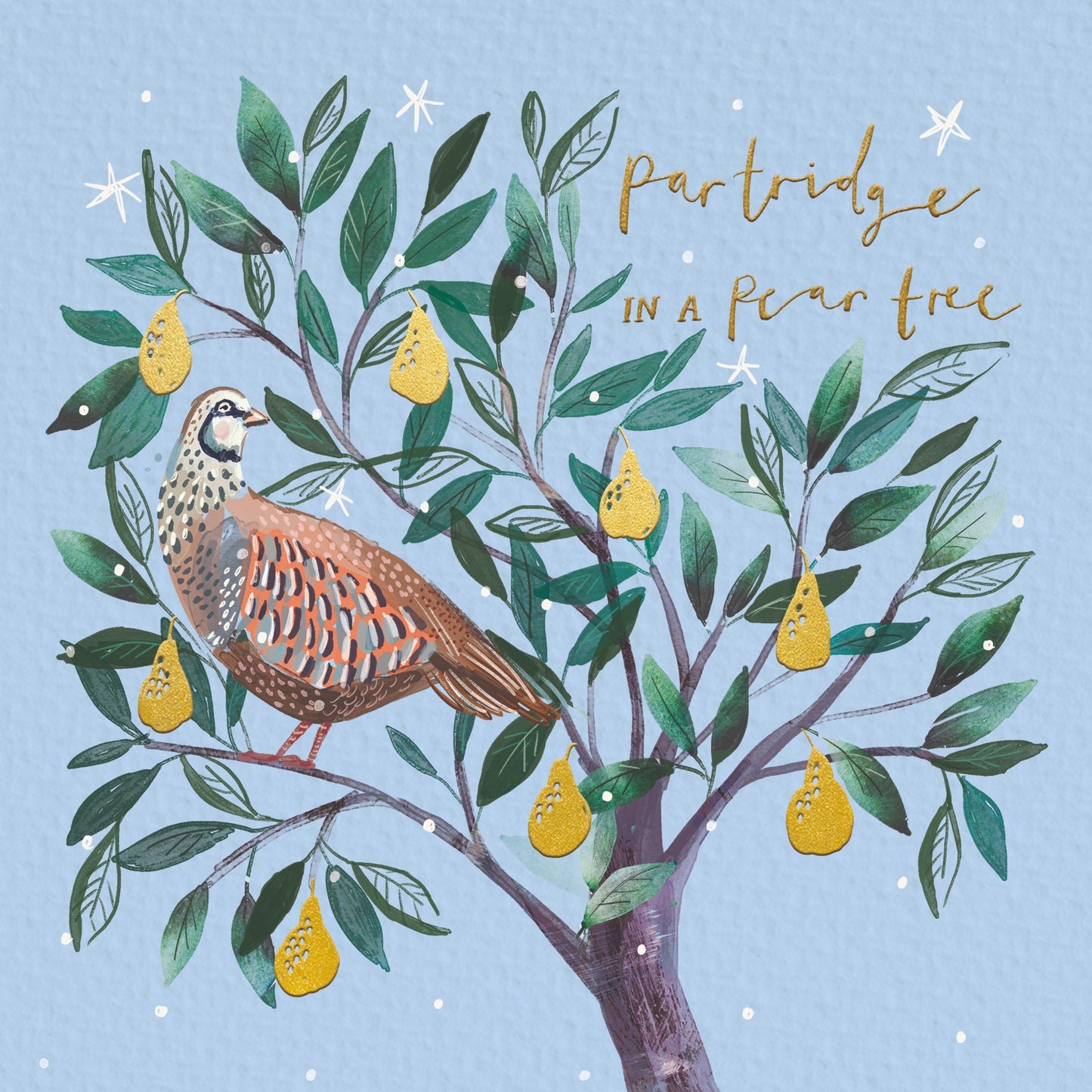 Partridge in a pear tree 10 cards