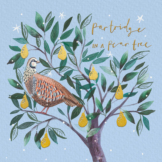 Partridge in a pear tree 10 cards
