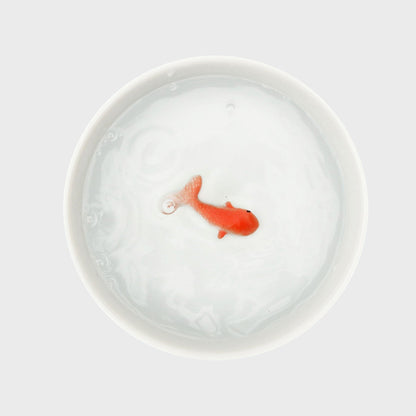 Goldfish cat bowl