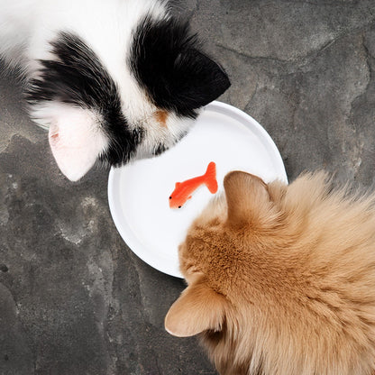 Goldfish cat bowl