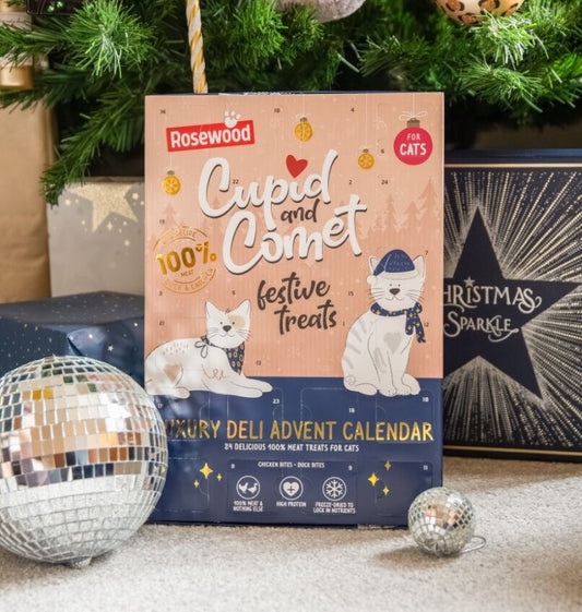 Luxury deli advent for cats