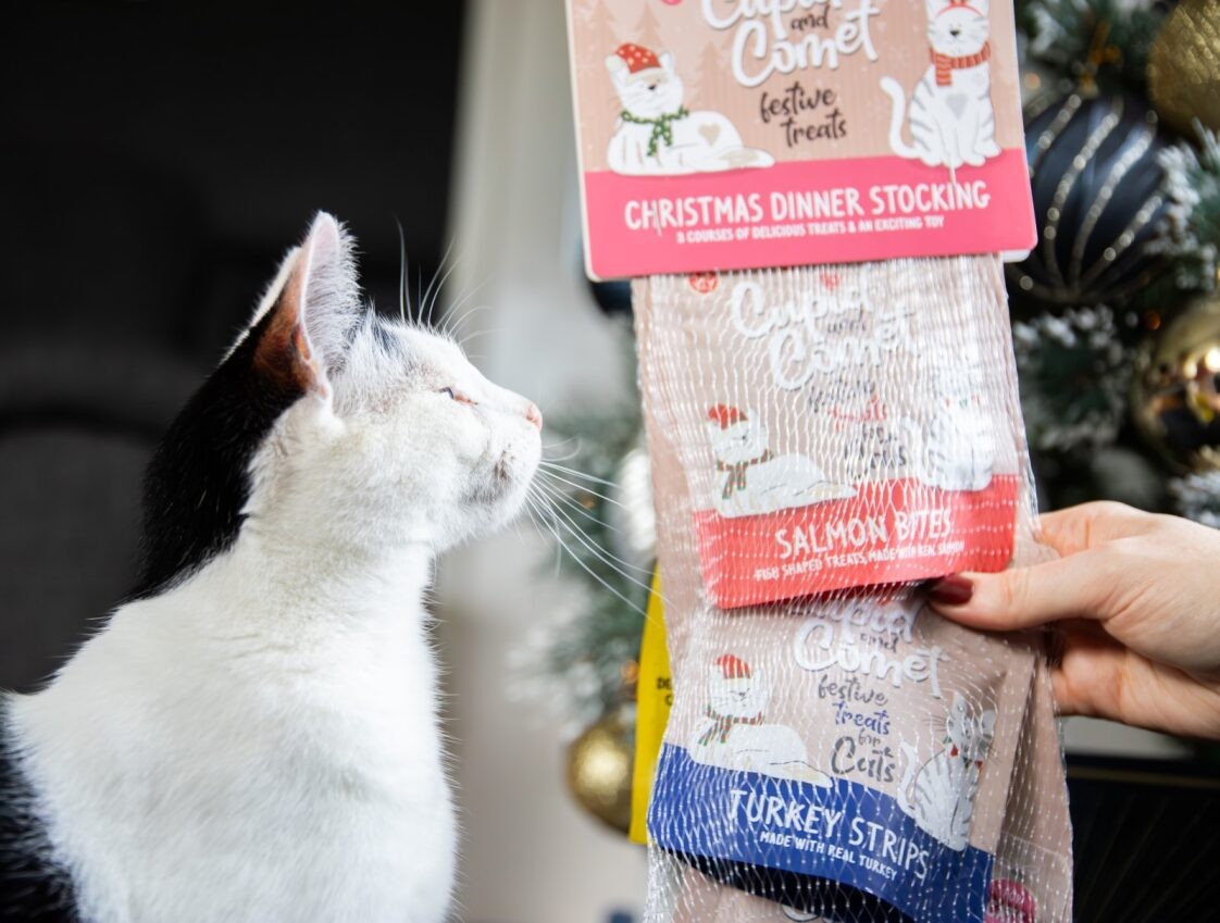 Cat Christmas dinner stocking