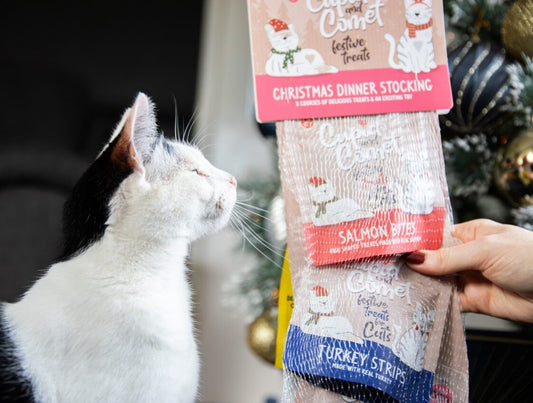 Cat Christmas dinner stocking