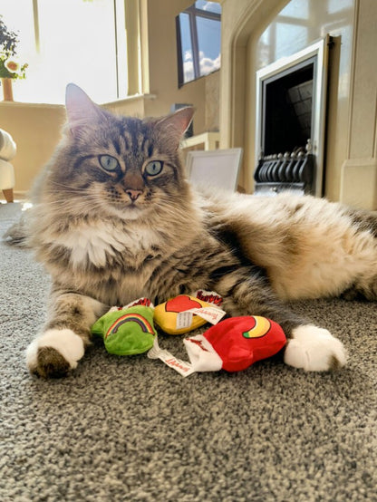 Kitten mittens pack