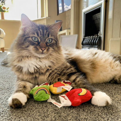 Kitten mittens pack