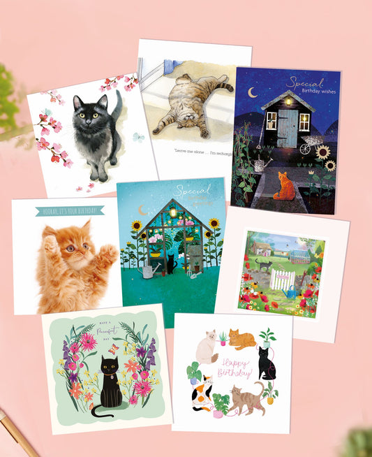 Cat greeting card pack