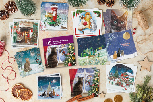Cats Protection bumper card pack 20 cards