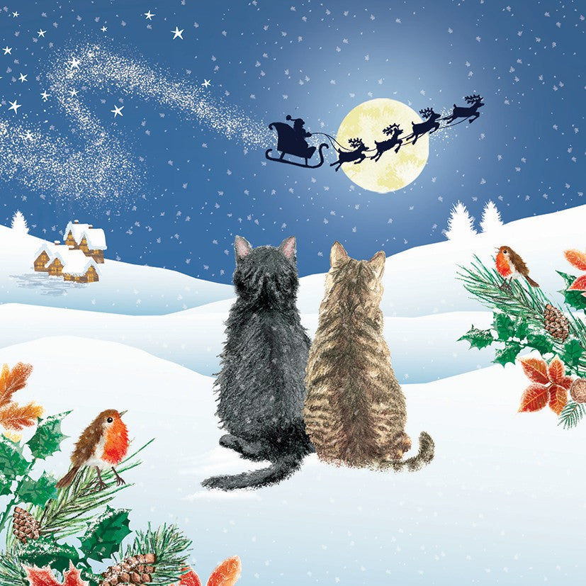 Waiting for santa 10 cards