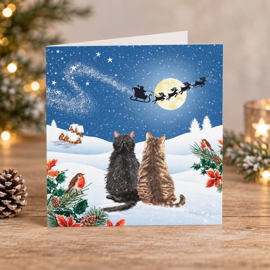 Waiting for santa 10 cards