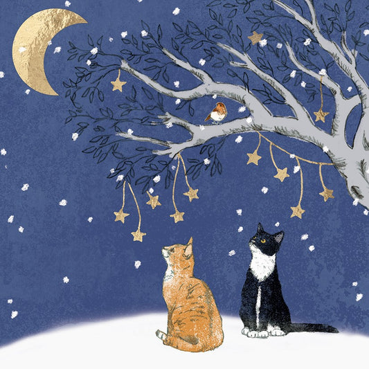 Under a crescent moon 10 cards