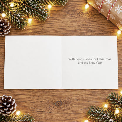 Under a crescent moon 10 cards