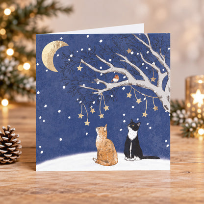 Under a crescent moon 10 cards