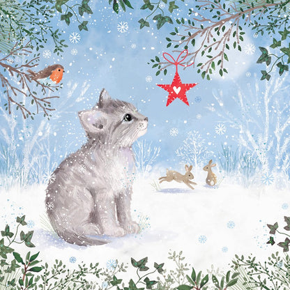 Winter wonder 10 cards