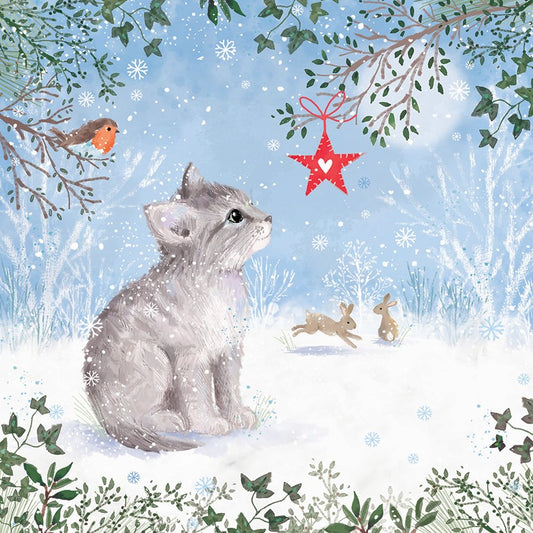 Winter wonder 10 cards