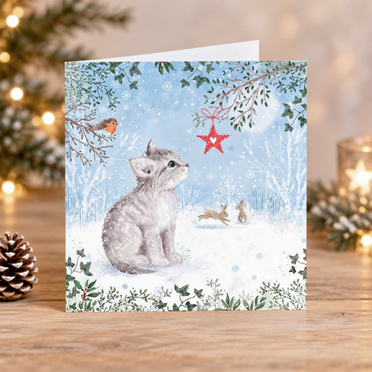 Winter wonder 10 cards
