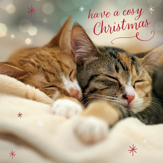 Christmas cuddles 10 cards